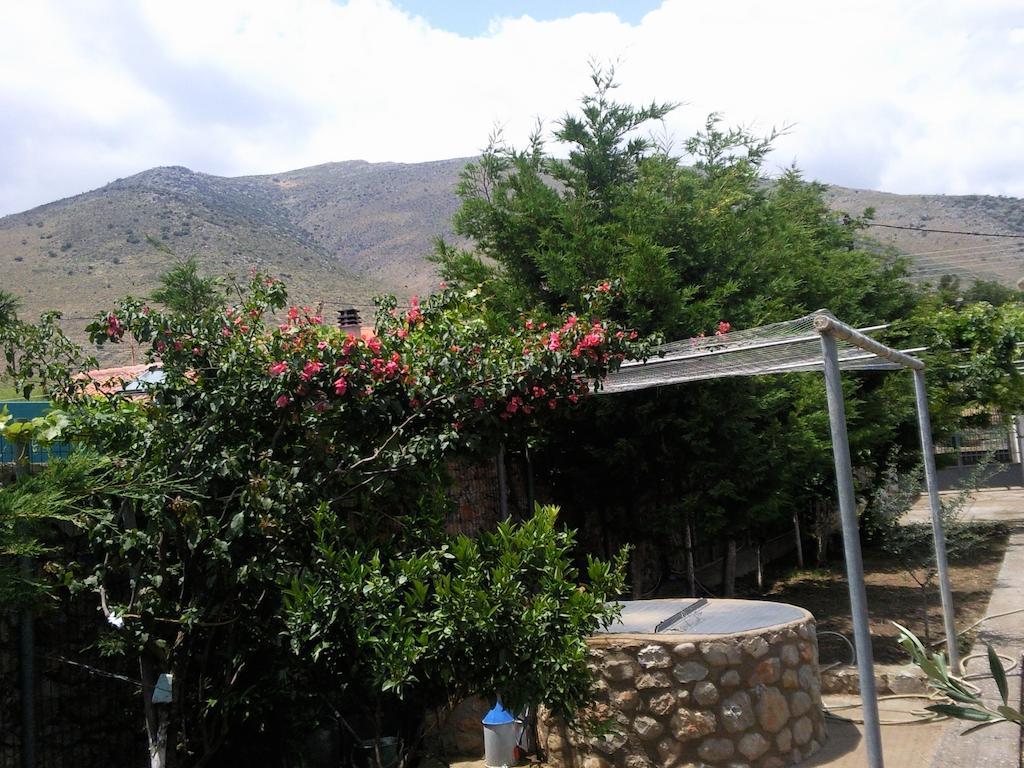 Elea Guesthouse Galaxídhion Exterior foto